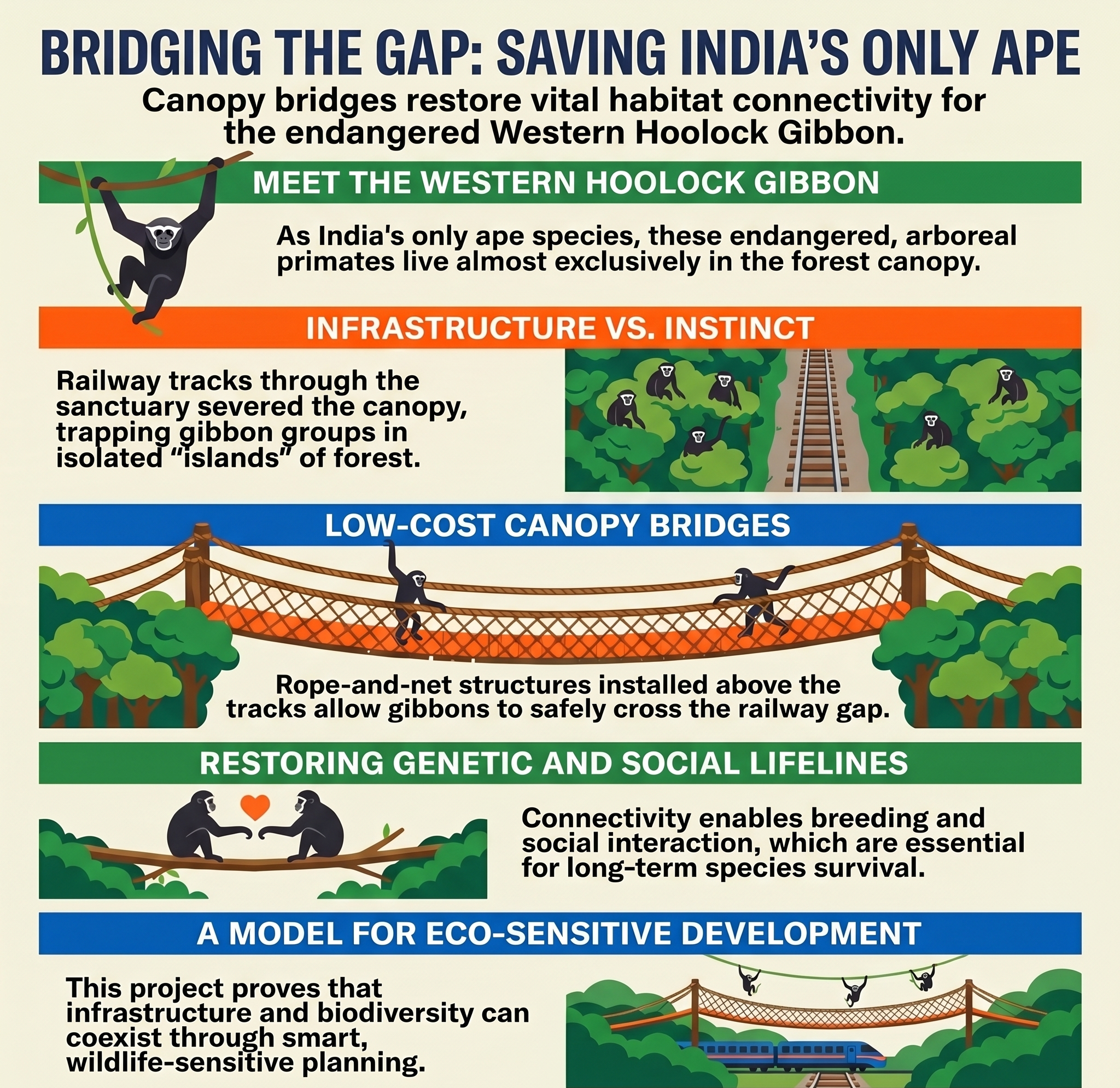 Separated for Decades by Rail Tracks, India&rsquo;s Only Ape Species Now Gets Bridges for the Gap